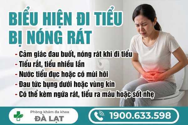 Hình ảnh minh họa